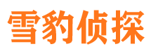 温江市调查公司